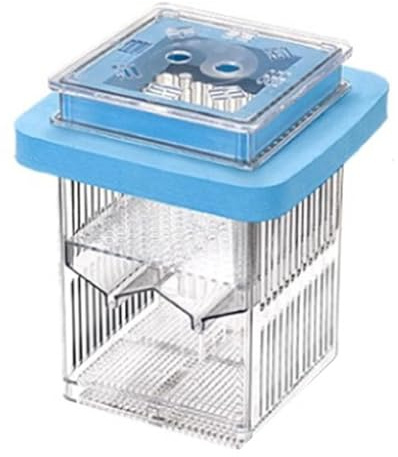 Guppy Schlupfbox, Clear Guppy Fish Tank Breeder Fall | Aquariumfisch -Zuchtbox Transparent Breeder Box | Clear Aquatic Life Incubator Isolation Fall für Betta