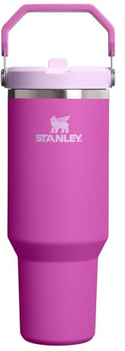 STANLEY Unisex's The IceFlow Flip Straw Jug