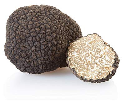 Mycélium de Truffe Blanche d'été Kit de culture champignons 15ml/50ml (Tube, 50ml)