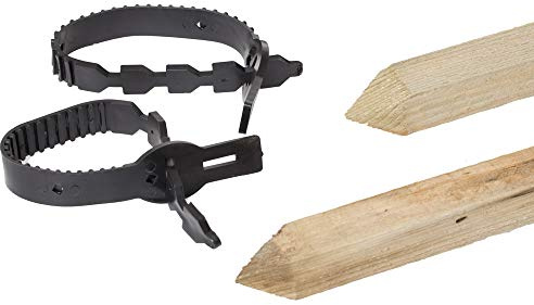 Double Tree Planting Kit - 1.2M Stake & Soft Tie (1 Tree)