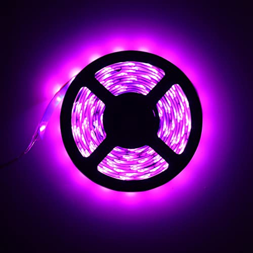 Bandes Lumineuses LED pour Plantes D'intérieur, Spectre Complet pour Plantes D'intérieur avec Gradateur Tactile, Lampe de Culture à intensité Variable pour la Floraison des (Non étanche)