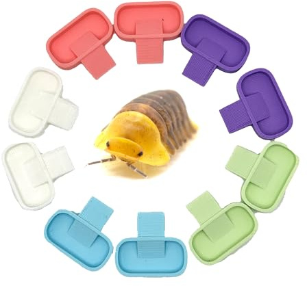 Isopod 10 Pack Feeding Dish | Isopod Food Tray | Insect Dish | Insect Feeder | CTWPets (Pastel Tones)