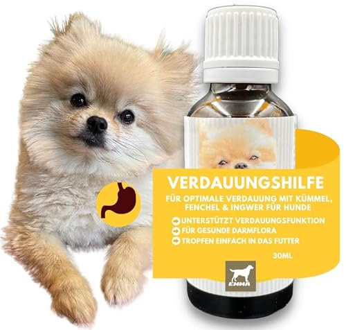 Darmkur Hund Kräuter Aktiv Tropfen + Kümmel I Erste Hilfe Verdauung - Magen-Darm Darmflora Hund I Aufbaufutter Hund - Durchfall Hund Blähungen I Darmsanierung I Appetitanreger für Hunde 30ml