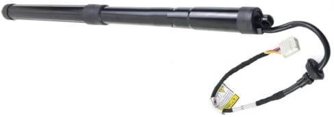 eglci Compatibile con Toyota per Rav4 per Sport Utility 2020 Supporto di Sollevamento del Portellone Posteriore Dell'auto, Montante Pneumatico Elettrico OEM:6892042020 Ricambi Auto