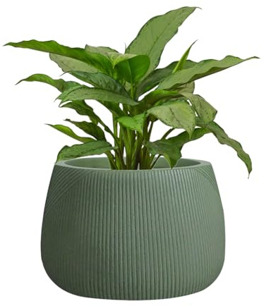 Fibre Clay Plant Pot Round Flower Pot Planters 29cm (Green, Small 8.5L) | Fibre Clay, Drainage Hole, Patio, Decking, Lawn, Doorstep, Porch, Lawn, Rippled Finish, Round, Planter, Plant Pot