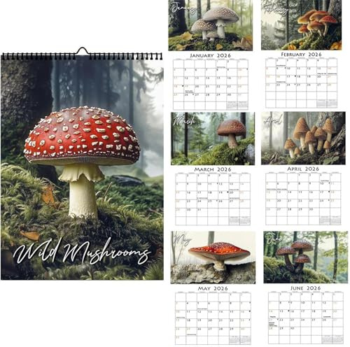 Pilz-Wandkalender 2026 – 28,5 x 21 cm Monatsplaner | Papierkalender für Erwachsene – Stilvoller Jahres-Organizer für Zuhause, Büro, Schule, Kindergarten, Fitnessstudio, perfekt für Planung und Planung