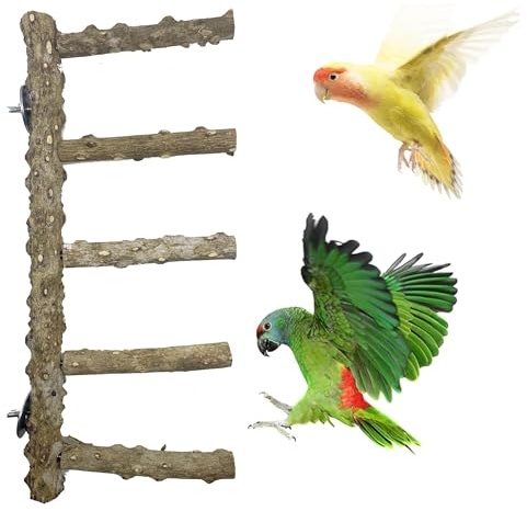 Mtiemxig Struttura in legno per attività dei pappagalli – naturale albero da arrampicata per uccelli con scala e altalena – Robusto paradiso di gioco e allenamento per pappagallini, calopsitte