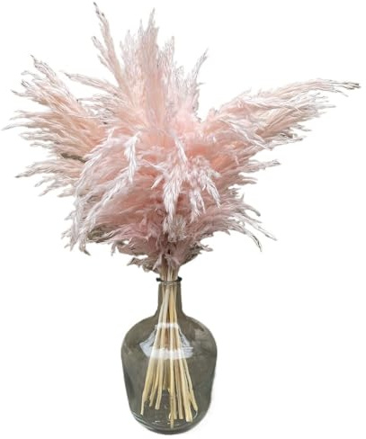 YUCHUANGYE Bouquet De Fleurs Sechees Lot de 10 Grandes Fleurs de Pampa séchées Roses for décoration de Mariage, fête, Maison, Automne, gâteau d'anniversaire Pampa Herbe