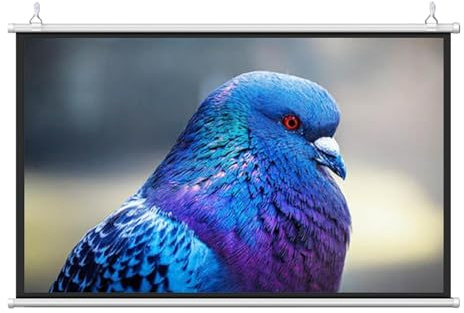 Pantalla Proyector 30 , 40 , 50 , 60 , 72, Pantalla Proyector Enrollable,Manual Plegable Pantalla Proyector, Pantalla De Proyección Montaje En Pared O Techo Para Cine En Casa Oficina Blanco(4:3,3