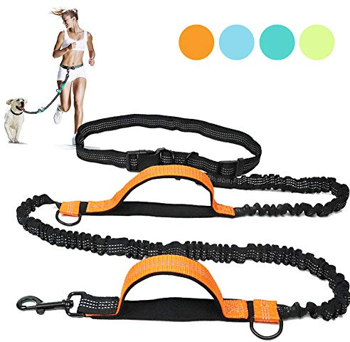 Handfritt hundkoppel infällbar med dubbla bungees för löpning, promenader, träning, vandring - justerbart midjebälte, vadderade handtag, reflekterande sömnad för små till stora hundar