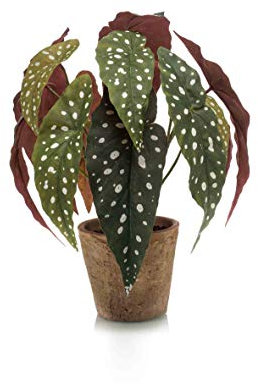 artplants.de Fake polka dot begonia ELISEIA, terracotta pot, green-white, 12/30cm - Artificial plants/False polka dot begonia