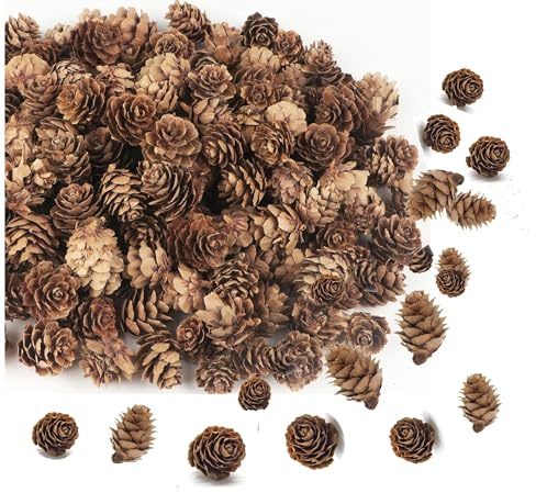 kfeity 250PCS Mini Pine Cones Bulk,Rustic Christmas Pine Cones Ornaments,Natural Christmas Small Tiny Pinecones for Thangksgiving,Christmas,Autumn, Home,Party,Decorations,DIY Crafts and Gifts