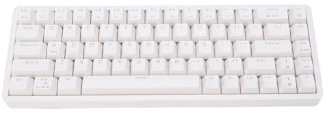 Denash Tastiera Meccanica Cablata Piccola, Tastiera da Gioco, Tastiera Meccanica Compatta con Retroilluminazione RGB a 16 Milioni di Colori, Cavo di Tipo C, Cavi per Tasti Separati,