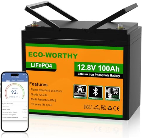 ECO-WORTHY Bateria LiFePO4 Bluetooth, bateria litio12v 100Ah, con protección contra Baja Temperatura, BMS Inteligente, 1280 WH de energía, para caravanas, autocaravanas, Pesca con caña y demás
