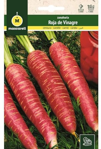 Mascarell Semillas, ZANAHORIA, Semillas Huerto, ZANAHORIA ROJA DE VINAGRE, Crea tu Propio Huerto Urbano y Cultivo en Casa, Plantas Hortícolas, 1 Gramos