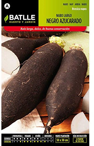 Semillas de Nabo Largo negro azucarado