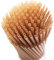 SHAUMN 200pcs Biodegradable Sugarcane 8 Inch Compostable Straws, Plastic Free, Sturdy, Not Foggy