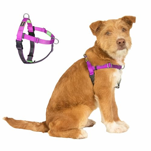 APDEXY Easy Walk No Pull Dog Harness, Freedom Walk with Front and Back Clips Stainless D-Rings, Comfortable, Sewn-in Instructions Tags for Easy Use, for Medium Dogs Weight 30-39lbs (Purple, M)