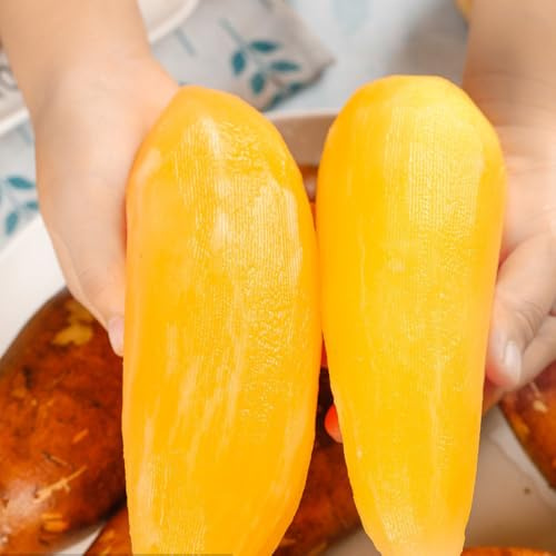yacon seltene obstsamen beerensträucher yaconsamen säulenobstbäume deko wohnzimmer zimmerpflanzen topfpflanzen draußen winterhart zwergobstbäume anzucht baumsamen für sonnige plätze 130samen