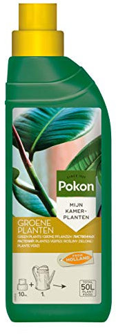 Pokon Grünpflanzen-Flüssigdünger 500ml, Dünger Flüssig für Grünpflanzen im Zimmer, auf Balkon und Terrasse, grün