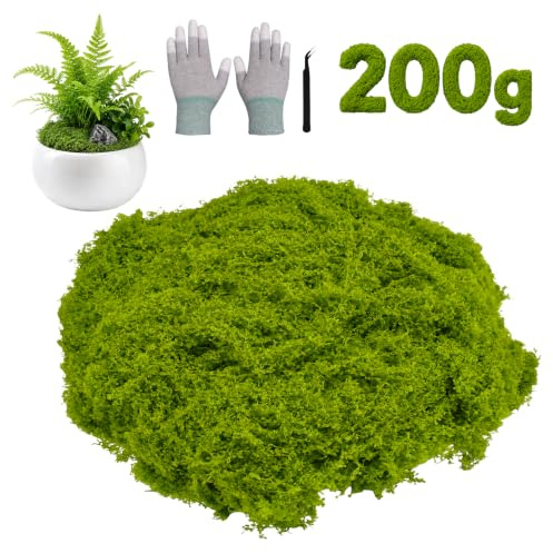 ZKAILCF 200 g konstgjord mossa dekoration, konstmossa för dekoration, mossa för pyssel, ljusgrön inklusive antistatiska handskar och metallpincett för vägg, krubba, bröllop, terrarium, modellbygge