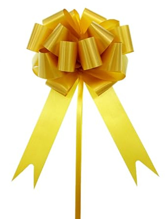 Anevous 20 Stück Große Geschenkschleife, 20cm Große Geschenk Schleife, Geschenkbänder Ziehschleife, Dekoschleife für Basteln Hochzeit Geburtstag, Geschenkverpackung, Auto Deko,Gold