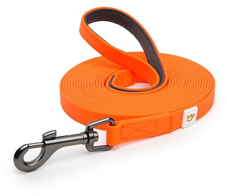 Rudelkönig Schleppleine 5m für Hunde - Robuste & wetterfeste Hundeleine für eine erfolgreiche Hundeerziehung - Mit Griffpolsterung