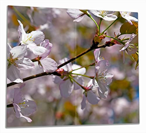 Wallario Herdabdeckplatte/Spritzschutz aus Glas, 2-teilig, 60x52cm mit 8mm hohen Füßen, für Ceran- und Induktionsherde, Kirschblüten in zartem Rosa - Frühling im Garten