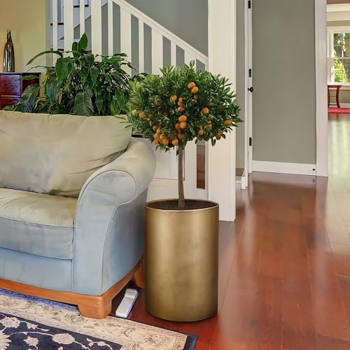 IDEALIST Plant Pots Indoor Plant Pot 50cm Tall, Gold Reinforced Stone, 25L | 1 Pack, W32 H50 cm, Inner Top D26 cm, Large Size, for Trees, Lightweight, Sturdy, Flower Pot Cover