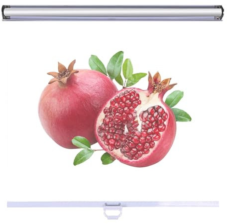 Durchsichtig Rollläden mit Griff Durchlässig Atmungsaktiv Rollos Lebensmittelkonservierung Rollo PVC Kunststoff Rollo Gardine(Size:W150x150CM)