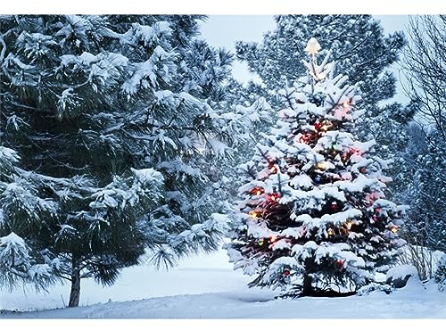 Winter Weihnachtsbaum Hintergrund 2.2x1.5m Schneefeld Wald Schnee Szene Weihnachtsbäume Fotografie Hintergründe Neues Jahr Party Dekoration Banner Winte Urlaub Erwachsener Porträt Foto Prop