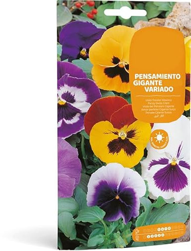 Pensamiento Gigante Variado - Sobre de Semillas - Flores de Exterior