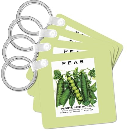 3dRose, Peas Green Peas in the Pods Vegetable Seed Packet Reproduction, set of 6 Key Chains