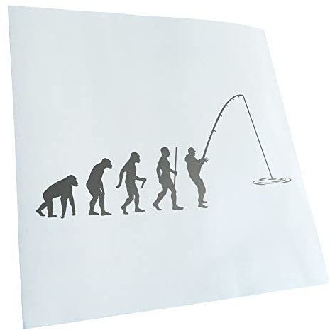 Kiwistar - Autoaufkleber - Angler Angeln Evolution - silber - 20x9cm - Heckscheibe Auto Aufkleber wetterfest für Kfz LKW Mofa Truck - Sticker außen selbstklebend Tuning Zubehör für Fenster Fahrzeug