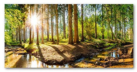 Tulup Glas-Bild Wandbild aus Glas - Wandkunst - Wandbild hinter gehärtetem Sicherheitsglas - Dekorative Wand für Küche & Wohnzimmer 120x60 - Landschaften - Wald Panorama - Grün