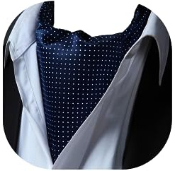 HISDERN Krawattenschal Herren Hochzeit Ascot Krawatte Gepunktete Elegant Business Halstuch