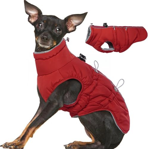 Katzinst Wintermantel für Kleine Hunde, Ärmellose Hundeanorak mit Durch Verstellbare Gummizüge und Rutschfester Reißverschluss, Hundemantel Reflektiert im Dunkeln, Bichon Frisé, Rot, XS