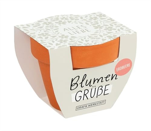 Grafik-Werkstatt Blumengrüße Sommerblumen-Mix | Mini-Terrakotta-Töpfchen mit Samen | Alles Liebe, Orange