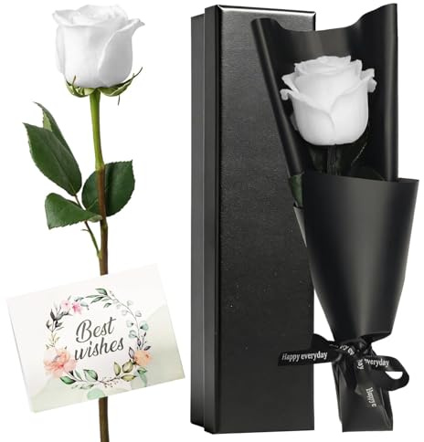 HIVTE Rosa Eterna Natural Blanca con Tallo en Caja de Regalo - Rosa Preservada, Regalo Elegante para Mujer, Mamá, Esposa, Ideal para Cumpleaños, San Valentín, Día de la Madre, Navidad