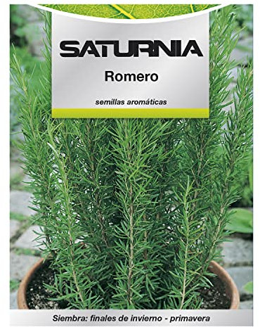 Semillas Aromaticas Romero (0.1 gramos) Horticultura, Horticola, Semillas Huerto.