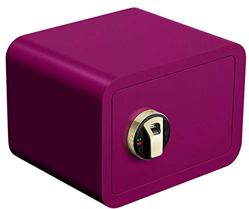 JZWCHQ Safe-Fingerabdruck-Safe, Material aus legiertem Stahl, Alarmsystem, Bogenwinkel schadet den Händen Nicht, Flache Tür-Mikronaht, großes Fassungsvermögen, verschleißfest/A / 25 cm Tresor