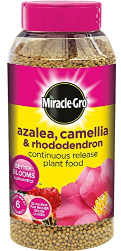 Miracle-Gro Azalea, Camellia and Rhododendron Continuous Release Plant Food Shaker Jar, 1 kg (5)