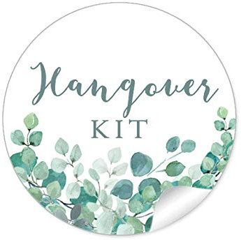 24 STICKER Hangover KIT Etiketten als Gastgeschenk für den Tag danach EUKALYPTUS ZWEIGE GRÜN MINT WEIß zur Hochzeit Geburtstag Taufe, 4 cm, rund, matt