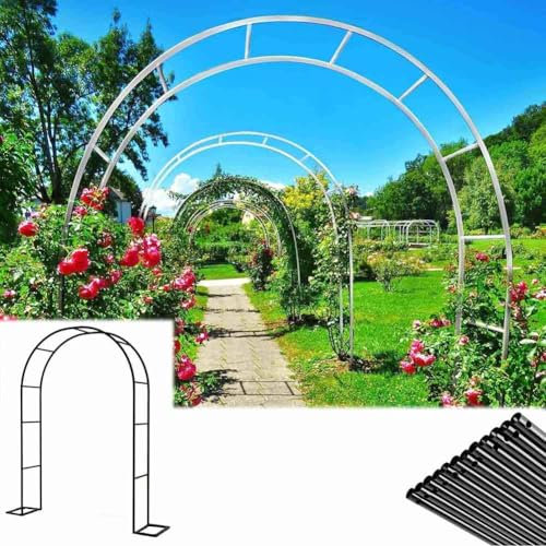 WCQSYY Arco De Jardin para Plantas Arco De Hierro Forjado para Plantas Trepadoras Arco De Rosales para Plantas Trepadoras,Blanca,W3M*H2.2M