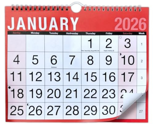 2026 Easy View Monthly Planner, Large Print Month-to-View Calendar, Slim Wall Design (1, Easy View Monthly Planner)