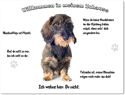 Merchandise for Fans Blechschild/Warnschild/Türschild - Aluminium - 20x30cm - - Willkommen in Meinem Zuhause - Motiv: Dackel Teckel Rauhhaardackel- 16