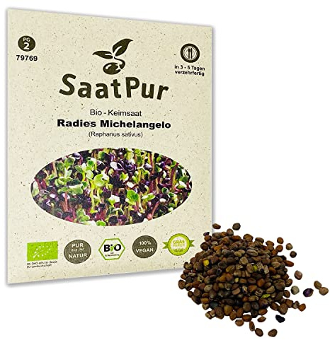 Radies Michelangelo BIO Keimsprossen von SaatPur - Keimsaat für die Sprossenzucht zuhause - 30g