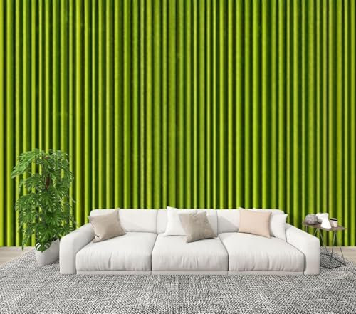 Fotomurales Decorativos Pared Rayas Verdes 250x175 cm Papel Pintado Tejido No Tejido Bambú Fotomural 3D Mural Paredes Papel Tapiz Decoración Salón o Dormitorio a.8979