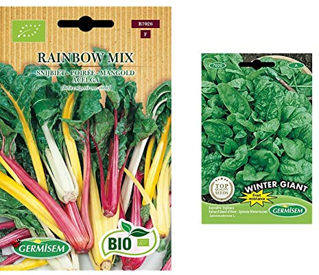 Germisem Mangold RAINBOW MIX & Spinat WINTER GIANT