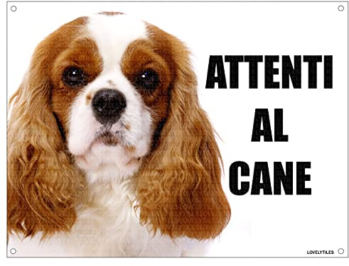 CAVALIER KING attenti al cane mod 2 TARGA cartello IN METALLO (15X20)